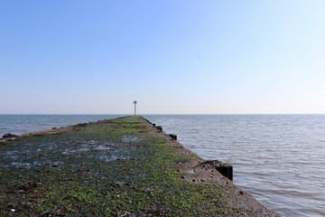 Exposed jetty at low tide with seaweed covered surface