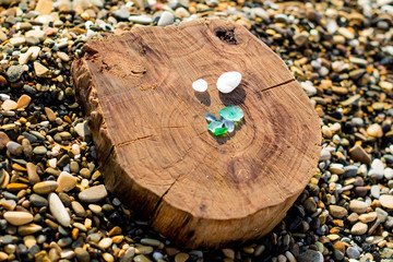 sea stones and piece of wood