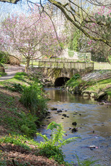 Obraz premium River and bridge in a park during spring