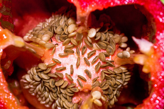 Chile macro