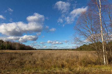 there is sky with clouds over a field with dry grass in autumn