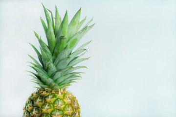 Fresh tropical pineapple isolated on a white background. Space for text.