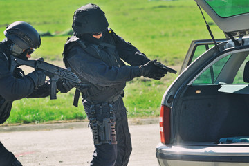 Arrest - anti-terrorist brigade in action.	