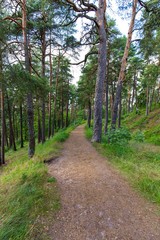 Obraz premium The city of Porvoo.Finland. Old town. Travel europe. Scandinavia.Park fores.