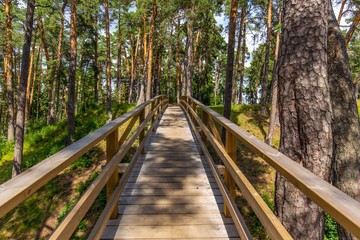 Fototapeta premium Miasto Porvoo, Finlandia. Stare Miasto. Podróżuj po Europie. Scandinavia.Park fores.