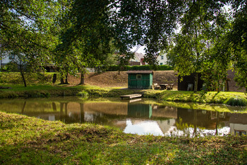 Beautiful trees, lake reflection, tranquil nature. relaxing scenery. Artistic nature background, trees and lake view in Germany,2019