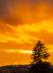 Obraz premium sunset in mountains