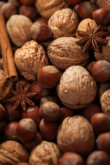 Nuts. Mix of nuts and spices. Food background