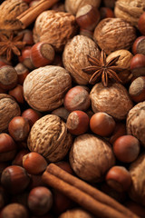 Nuts. Mix of nuts and spices. Food background