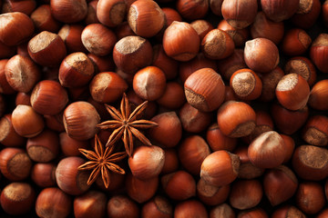 Nuts. Mix of nuts and spices. Food background