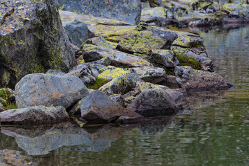 Naklejka na ściany i meble stones in the water at the shore of a lake