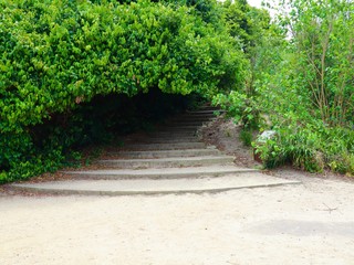 path in park of Sydney 