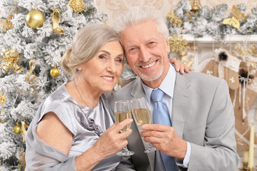 Close up portrait of old couple with Christmas present