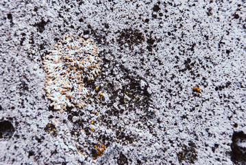 Old concrete, abstract background. Rustic old concrete.