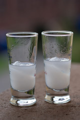 small glasses with white alcoholic beverage,small glasses with white alcoholic beverage