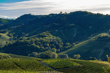 Piedmont area in Italy looking over the vineyards a week before harvest with sun setting behind the hills