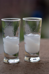 small glasses with white alcoholic beverage,small glasses with white alcoholic beverage