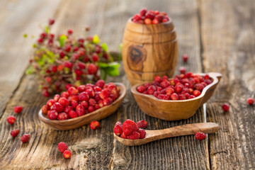 Fresh Wild strawberries on wooden background