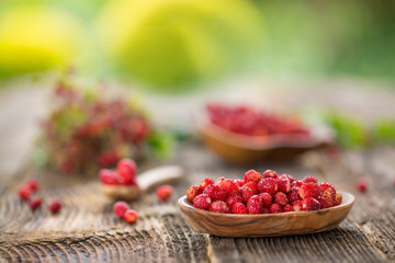 Fresh Wild strawberries on wooden background