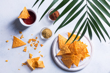 Traditional mexican snack nachos with sauce, spices and palm branch on a white background
