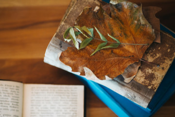 old historical books with autumn leaves. Vintage November background for reading 