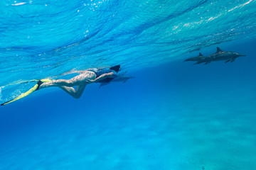 woman swimming with a pod of Spinner dolphins (Stenella longirorstris) over sand in Sataya reef, Egypt, Red Sea