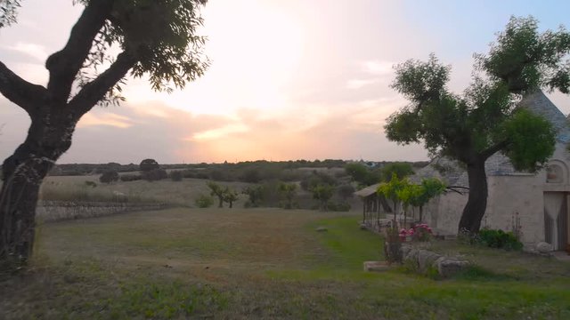 Aerial View through the Olive Trees of Trullo in Puglia Italy