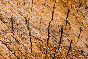 Dark brown scratched wooden board