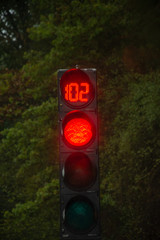 Red traffic light at day ,number 102