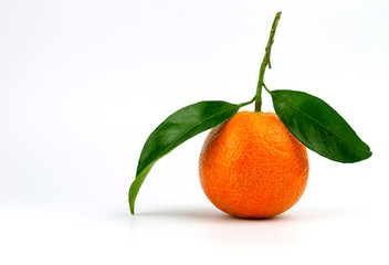 Extra sweet and juicy Spanish clementine with leaves. Isolated on white.