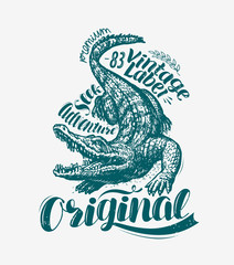 Crocodile t-shirt design. Alligator drawn vintage vector illustration - obrazy, fototapety, plakaty