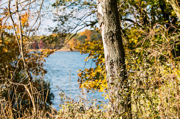 A view of a lake in autumn
