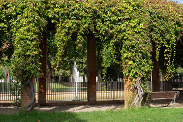 Fountain, bench and climbing plant in a beautiful green city park. Valencia, Spain