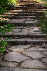 Stone staircase in a green park surrounded by beautiful plants