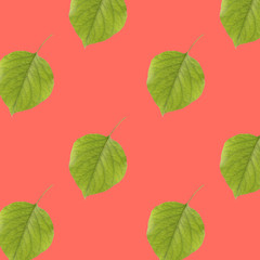 Trendy pattern done with leave on colour background