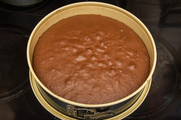 homemade cake top with cocoa