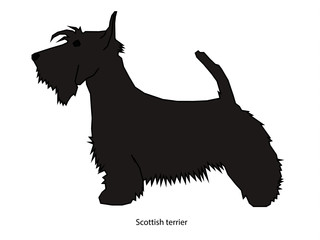 A dog vector illustration isolated