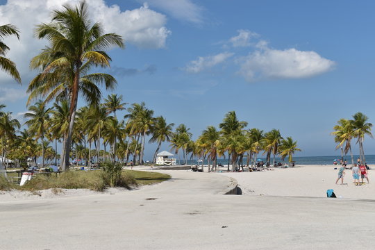 Crandon Park In Florida