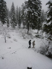 Hiking in heavy snow fall through monochromatic landscape with trees cleaving cloudy grey sky