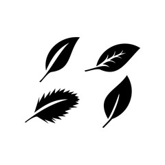 Leaves icon vector set isolated on white background. Various shapes leaves of trees and plants on black color. Elements for eco and bio logos.
