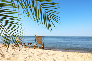 Sandy beach with empty wooden sunbeds on sunny day