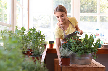 Young woman taking care of home plants at wooden table in shop