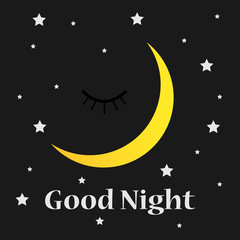 Obraz na płótnie Canvas Good Night. Hand drawn typography poster. Card good night vector image