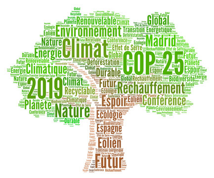 COP 25 &agrave; Madrid en Espagne 2019 nuage de mots 