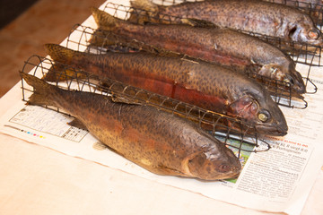 Fresh smoked fish in a smokehouse: carps, trouts