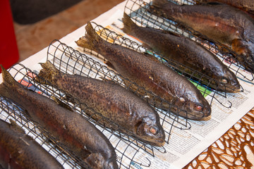 Fresh smoked fish in a smokehouse: carps, trouts
