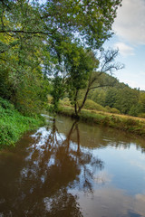 Obraz premium small river in the south west of Germany