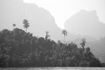 black and white picture of  islands covered in jungle