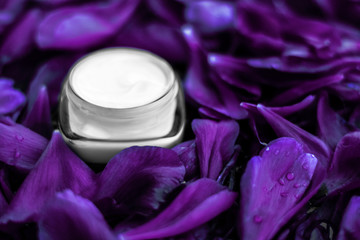 Luxury face cream moisturizer for facial skin on purple flower background, floral essense, spa...