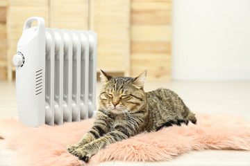 Cute tabby cat near electric heater on faux fur rug at home